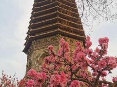 -玲珑塔公园