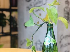 -ZING COFFEE 镜咖啡