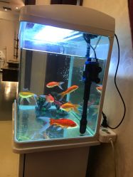 -西安伊美尔医疗美容医院