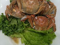 -老山东·山东菜(鲁菜名店)