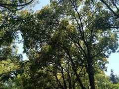-无锡梅园公园