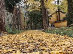 -五泄景区