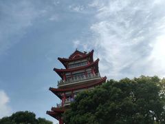 -碧海金沙