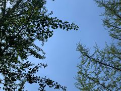 -吴裕泰茶庄(西单店)