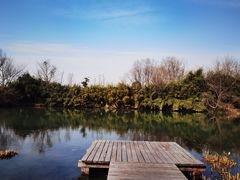 -西溪国家湿地公园