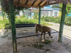 -萌宠亲子动物乐园(槐房万达店)