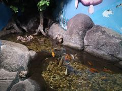 -苏州海洋馆
