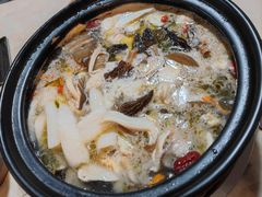 -蘑统田下·野生菌火锅