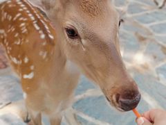 -南戴河国际娱乐中心