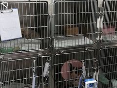 -爱诺耐芙动物医院(万博店)