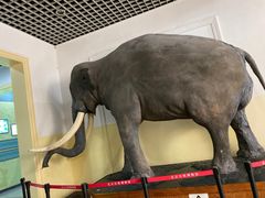 -国家自然博物馆