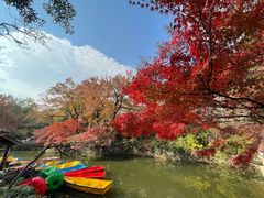 -虞山风景区