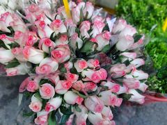 -循礼门鲜花花市(武汉循礼门店)