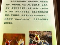 -上海昆虫博物馆