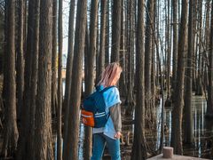 -东湖落雁景区