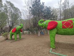 -长白岛森林公园