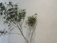 -恒悦轩·粤菜(上海展览中心店)