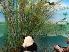 -无锡动物园·太湖欢乐园