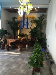 -牛大夫植发
