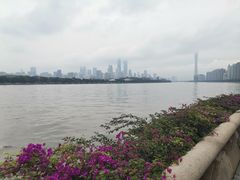 -黄金海岸水上乐园