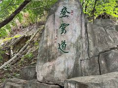 -梧桐山风景名胜区