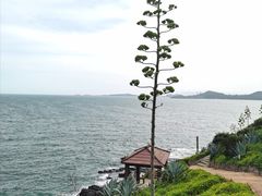 -漳州滨海火山岛自然生态风景区