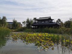 -河北省第三届（邢台园博园）园林博览会