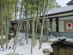 -南山植物园