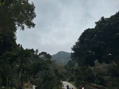 -深圳仙湖植物园