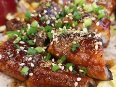 北海道鳗鱼饭-樱の千渡日式料理·铁板烧•烧鸟(金盛田广场店)