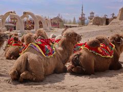 -镇北堡西部影城