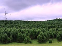 -塞罕坝国家级自然保护区