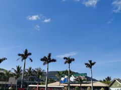 -亚龙湾国际玫瑰谷