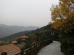 -徂徕山森林康养度假谷温泉