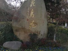 -江阴花鸟市场