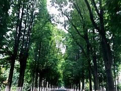 -上海怡沁园度假酒店