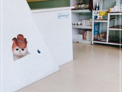 -美迦爱-牙专科·兔科·骨科诊疗中心(北苑店)