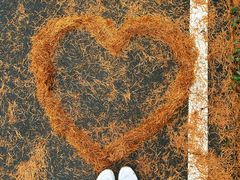 -福清灵石山国家森林公园