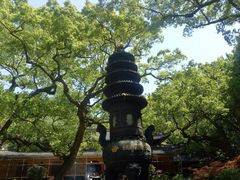 -普陀山风景名胜区-法雨禅寺
