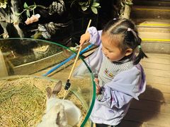 -正佳雨林生态植物园