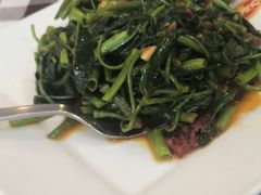 -文东记(马里士他路)