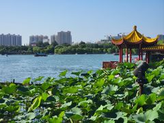 -济南大明湖景区