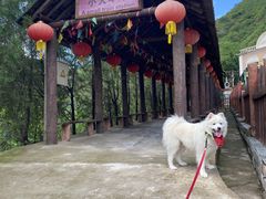 -双龙峡