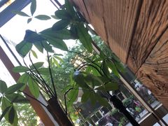 -MANYU COFFEE(广渠门店)