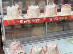 -喜莲娜动物奶油生日蛋糕(箭盘店)