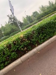-HEYAN长风荷妍专业脱毛美肤
