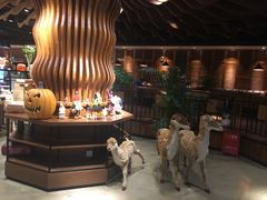 -糕潮(森兰店)