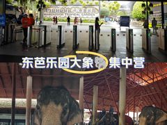 -东芭乐园