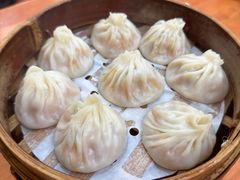 -莱莱小笼·乔艾