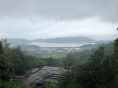 -黄贤森林公园